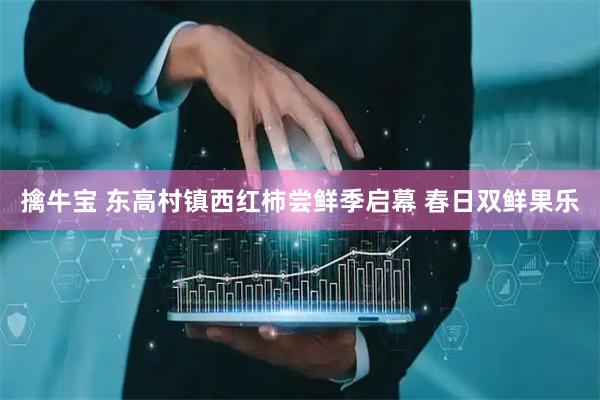 擒牛宝 东高村镇西红柿尝鲜季启幕 春日双鲜果乐