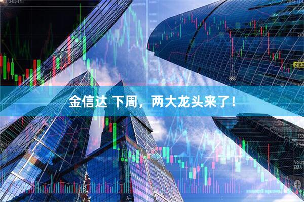 金信达 下周，两大龙头来了！